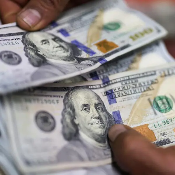 Dollar steadies ahead of Fed rate decision