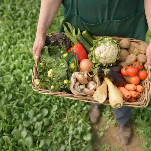 Kuwait focuses on creating secure and stable food supply system