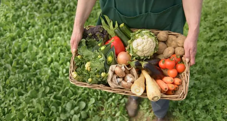 Kuwait focuses on creating secure and stable food supply system