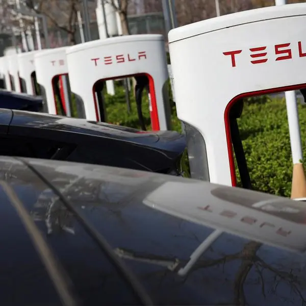 How is Tesla expected to remotely control its robotaxis, and what are its limitations?