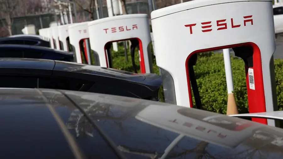 How is Tesla expected to remotely control its robotaxis, and what are its limitations?