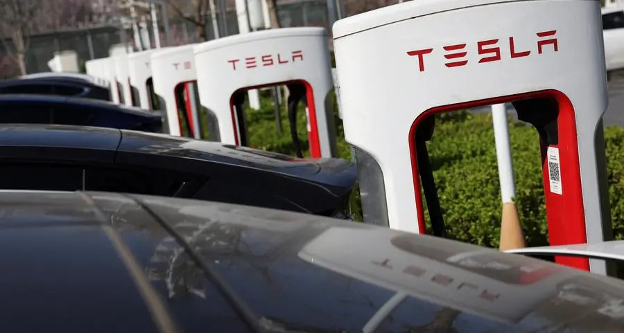 How is Tesla expected to remotely control its robotaxis, and what are its limitations?