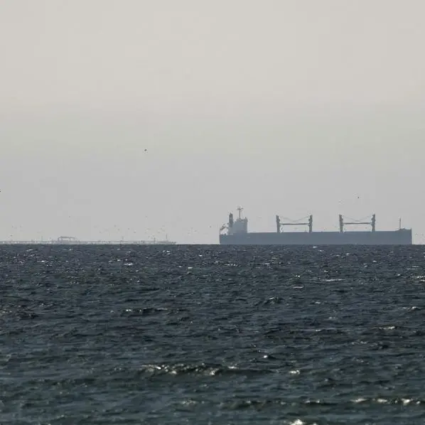 Iran allowing transit of Chinese vessels in Strait of Hormuz, Fars news reports