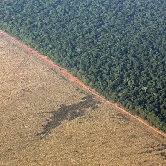 US climate pullback threatens planned debt-for-nature deals