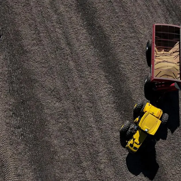 Soybeans hover near 2-week high on US-China trade optimism; wheat firms