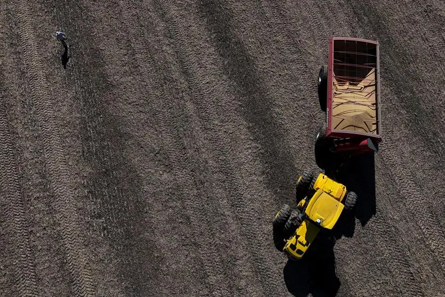 A drone view shows a harvester working in a soybean plantation in San Andres de Giles, on the outskirts of Buenos Aires, Argentina, May 12, 2025. REUTERS/Martin Cossarini. , Reuters