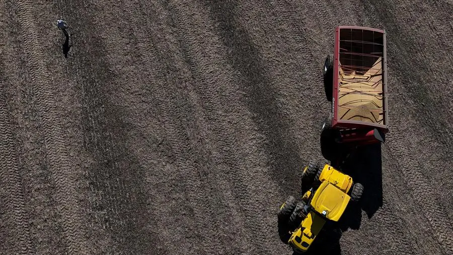 Soybean rally unwinds on China demand doubts, ample supply