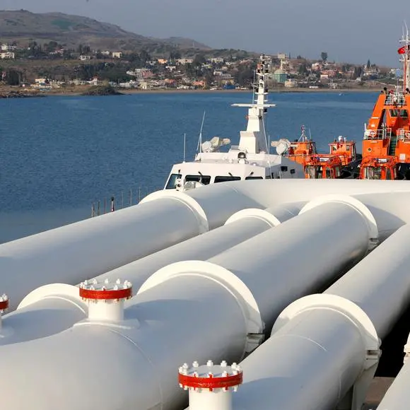 Turkey's BOTAS, Mercuria sign 20-year LNG supply deal