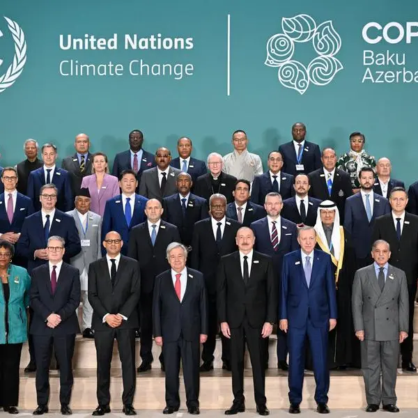 Wealthy nations pledge 'no new coal' at COP29