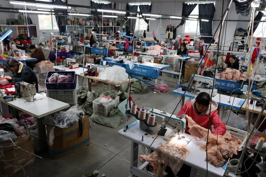 Employees work with sewing machines on the production line of the Midnight Charm Garment lingerie factory in Guanyun county of Lianyungang, Jiangsu province, China November 25, 2024. REUTERS/Florence Lo. , Reuters