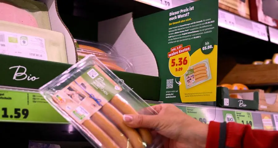 Euro zone households increase savings further, putting brakes on growth