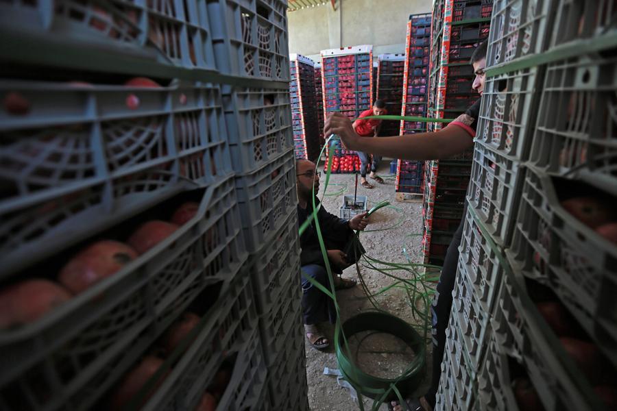 Egypt: Poultry, meat, fish prices fluctuate on May 4th