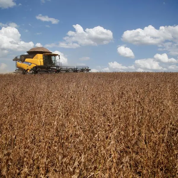 Chicago soybeans hit six-week high, track crude gains on Iran tensions