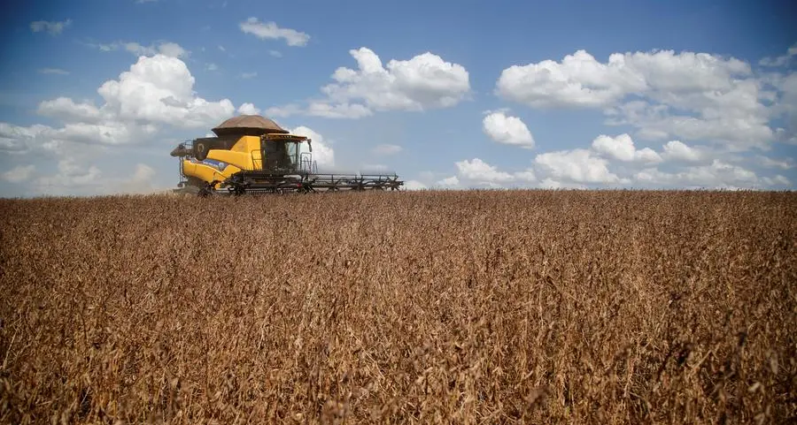 Chicago soybeans hit six-week high, track crude gains on Iran tensions