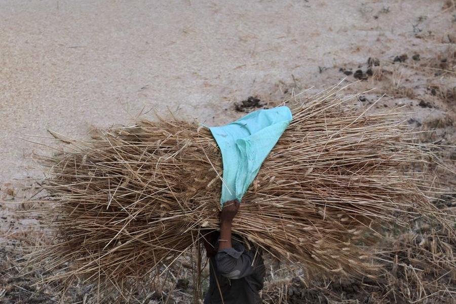 Egypt bought several hundred thousand tons of wheat for July/Aug delivery, sources say