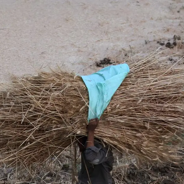 Egypt bought several hundred thousand tons of wheat for July/Aug delivery, sources say