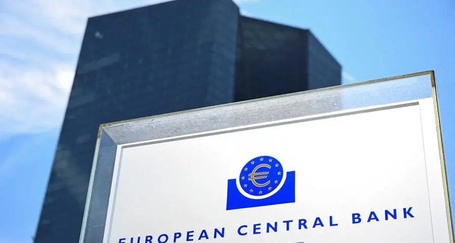 Euro zone banks should prepare for risk of dollar squeeze, ECB says