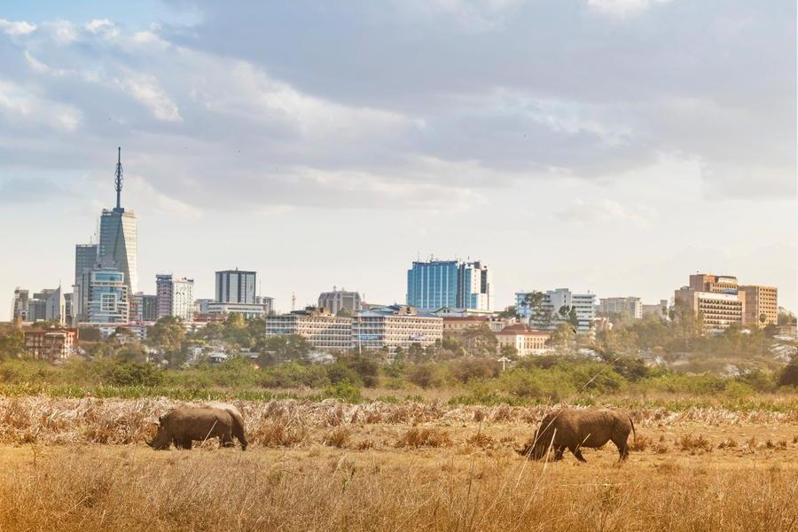 Dodoma spares Kenyans in ban on foreign businesses