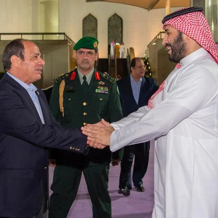 Riyadh, Cairo discuss Mideast developments, boosting ties