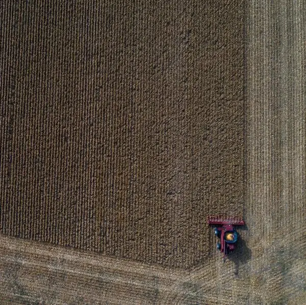 Chicago corn gains for second day on tighter global stocks