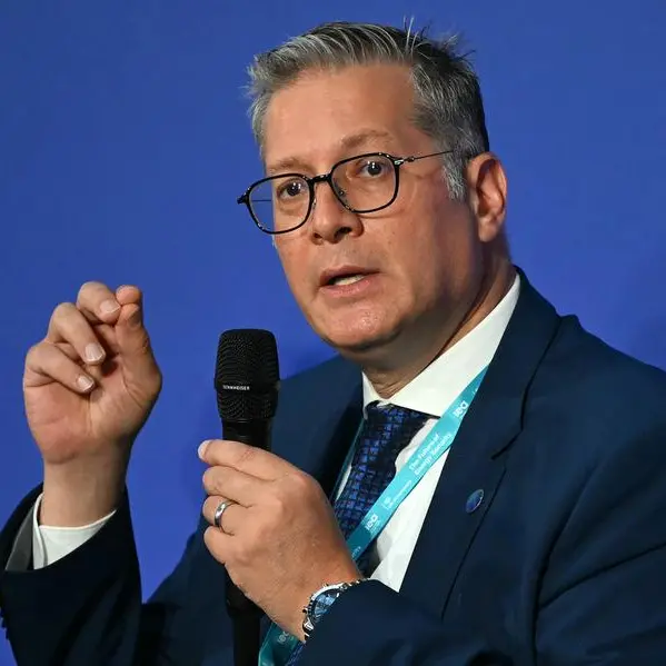 Egypt: Petroleum Ministry targets zero arrears to foreign partners by end-June