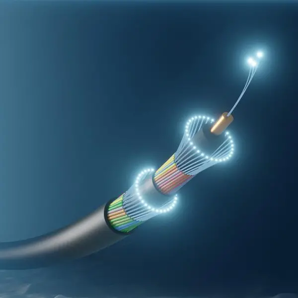 UAE’s DU to participate in Singapore-India-Gulf submarine cable system