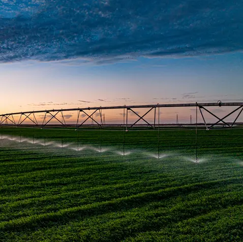 Abu Dhabi's Al Dahra publishes sixth annual sustainability report, advancing global farming platform
