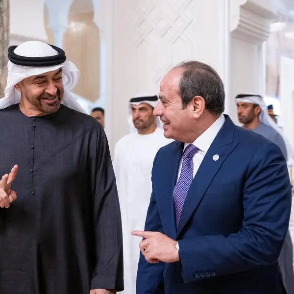 UAE and Egyptian Presidents discuss regional developments in phone call