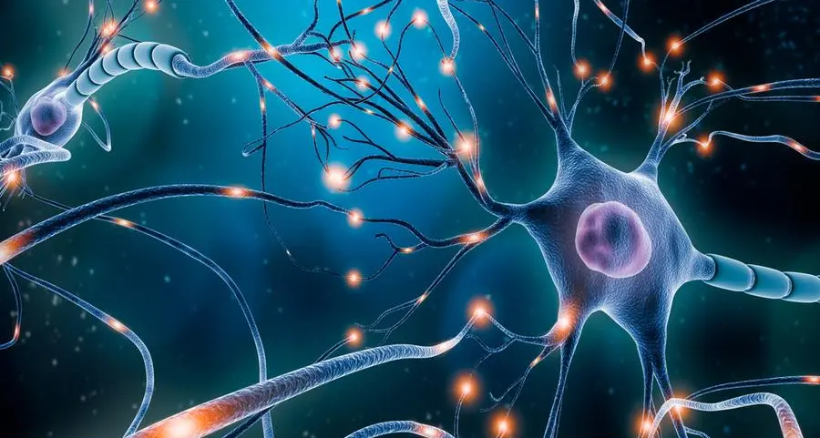 NYU Abu Dhabi and University of Denver Researchers identify promising small molecule inhibitor of brain disorders like parkinson’s disease