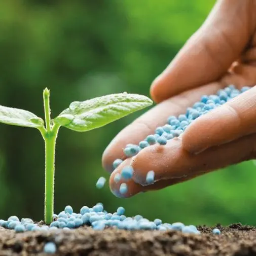 باحثو جامعة خليفة يتوصلون إلى طريقة جديدة لتحويل التربة الرملية في المناطق الجافة إلى أرض خصبة مناسبة للزراعة