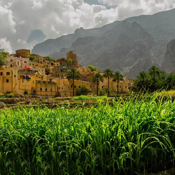 $890mln invested in Oman’s agriculture and fisheries sectors in 2023