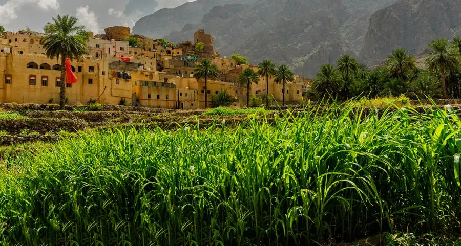 $890mln invested in Oman’s agriculture and fisheries sectors in 2023