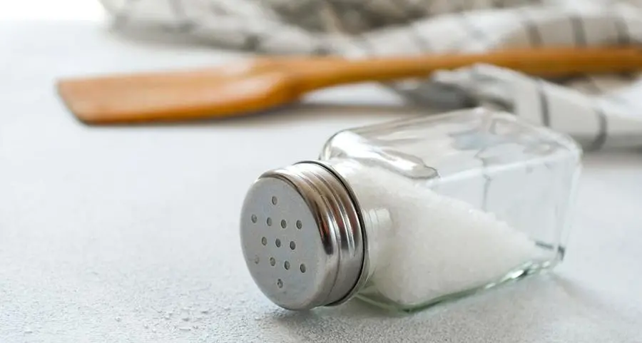 Naqa Salt set to become region’s largest industrial salt venture
