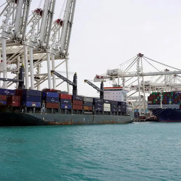 Morocco to ban frozen sardine exports from February