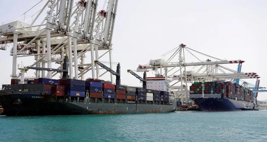 Morocco to ban frozen sardine exports from February