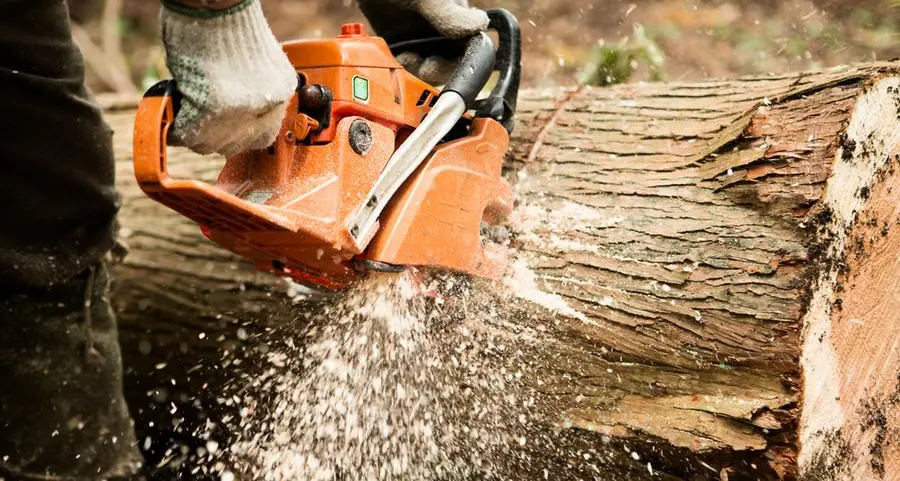 Nigeria: Warning against indiscriminate tree cutting along Enugu-Onitsha highway