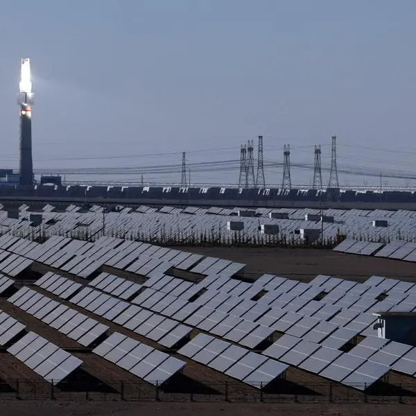 China's overcapacity crackdown faces litmus test in solar sector