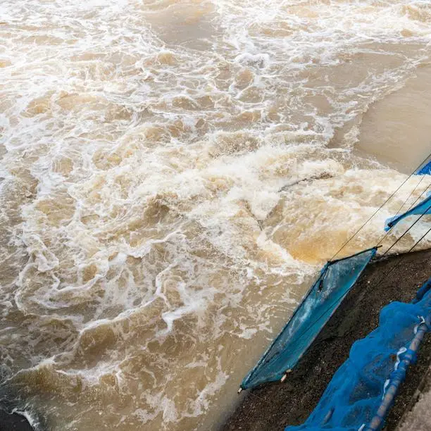 Saudi Arabia to build 1,000 rainwater harvesting dams with 4 million m³ annual capacity