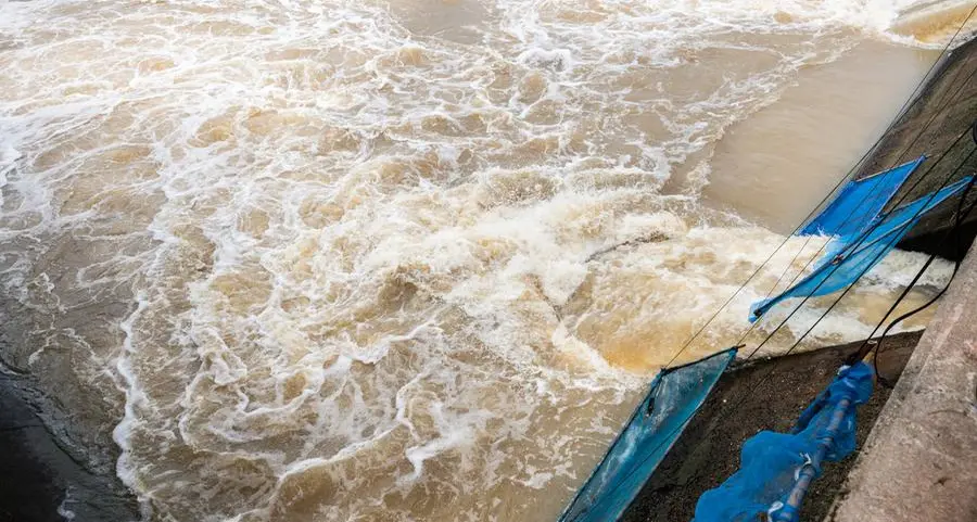 Saudi Arabia to build 1,000 rainwater harvesting dams with 4 million m³ annual capacity
