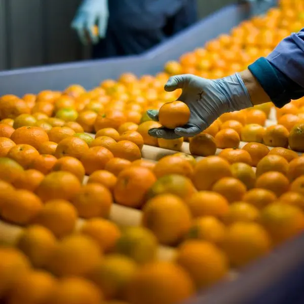 Qatar: Al Wakra Municipality conducts 1,589 food inspection campaigns to safeguard health