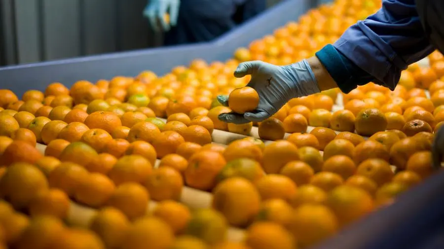 Abu Dhabi steps-up food safety, regulatory oversight ahead of Eid Al-Fitr