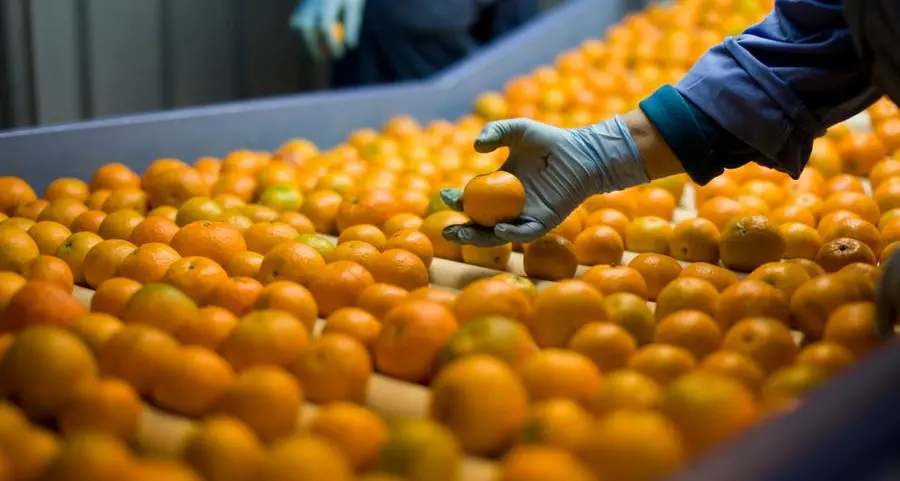 Abu Dhabi steps-up food safety, regulatory oversight ahead of Eid Al-Fitr