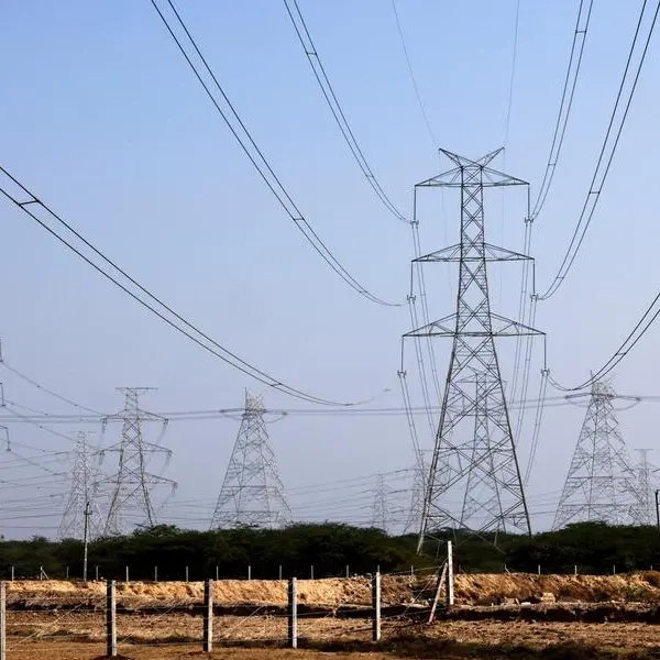 Bangladesh's electricity imports from Adani plant slide by a third in November