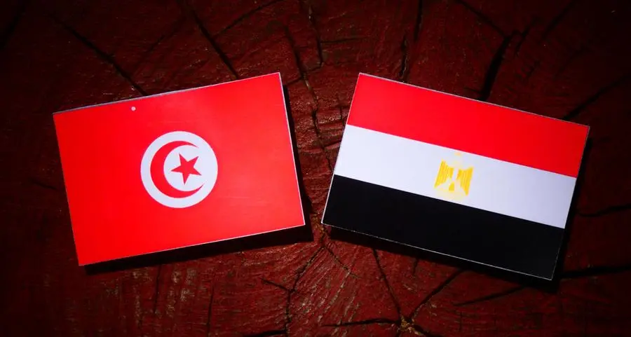 Tunisia's PM calls for model partnership with Egypt