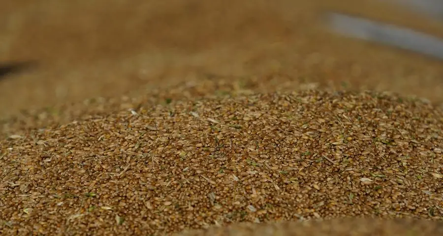 Jordan issues tender to buy up to 120,000 metric tons wheat, traders say