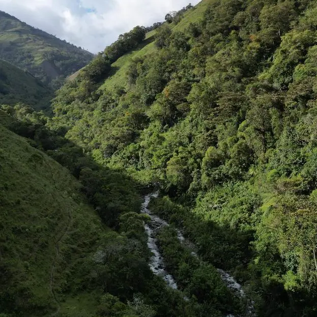 Saudi Arabia to host first-ever UNCCD COP16 Green Zone