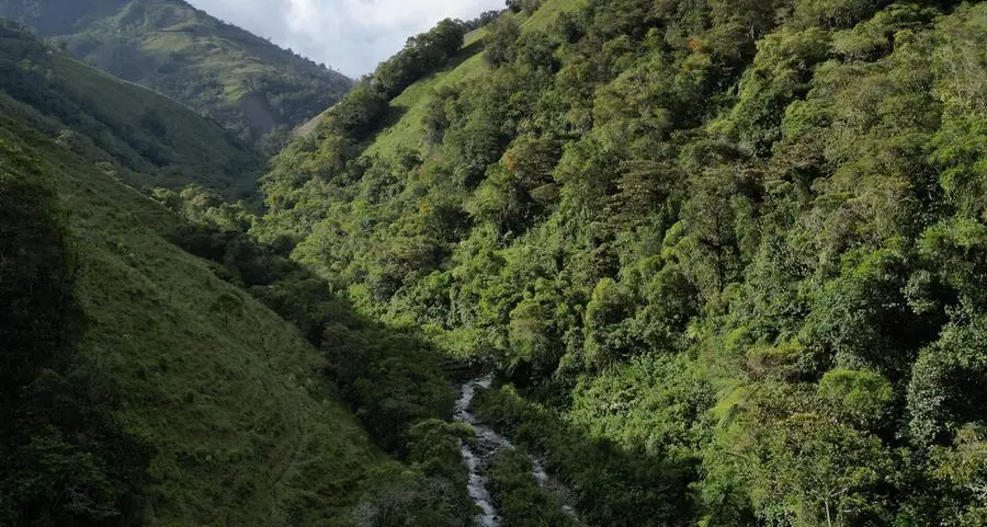 Saudi Arabia to host first-ever UNCCD COP16 Green Zone