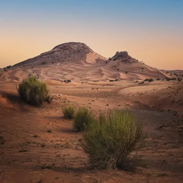 Researchers from leading universities in UAE, UK, USA, Germany, and Spain awarded grants for scientific study