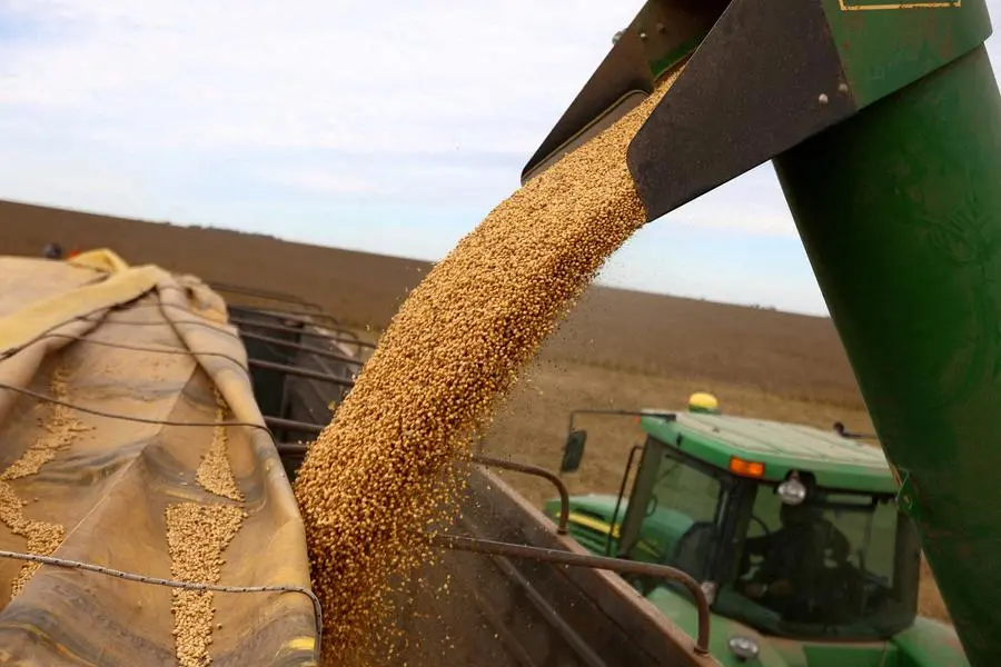 Wheat eases as short-covering rally fades