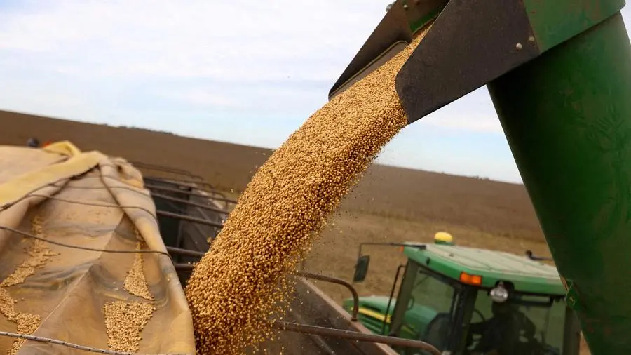 Soybeans stay weak amid biofuel doubts, corn and wheat edge up